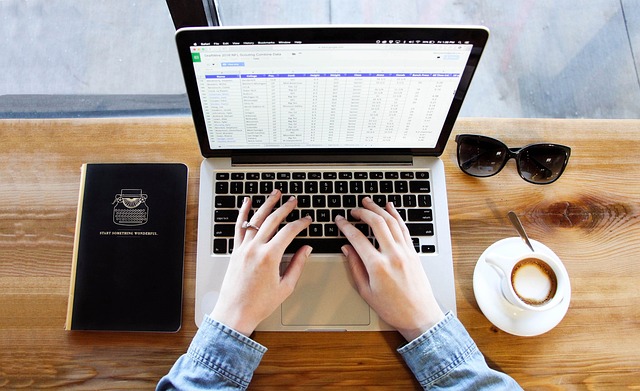 A person working on a spreadsheet using their laptop.