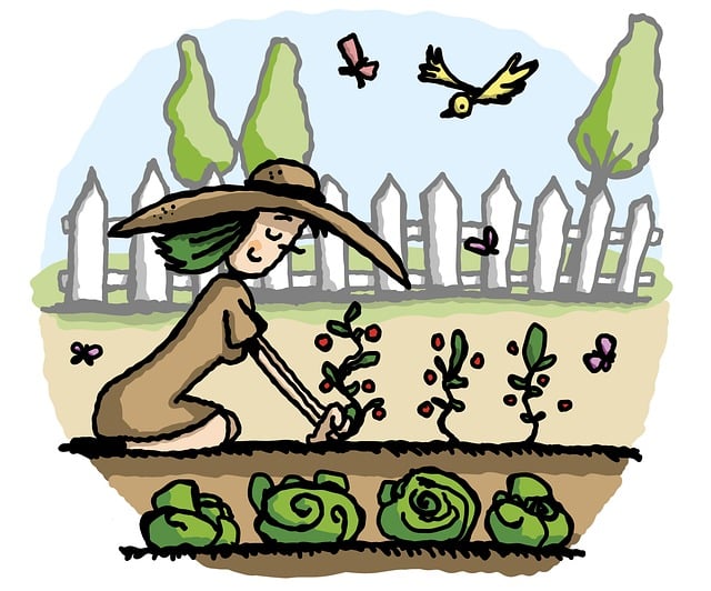 A gardener planting out plants in the soil.