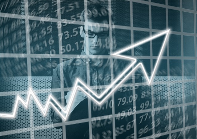 A business analyst evaluating process performance.