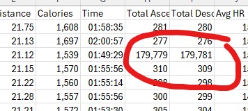 A screenshot of a spreadsheet showing abnormal data values.